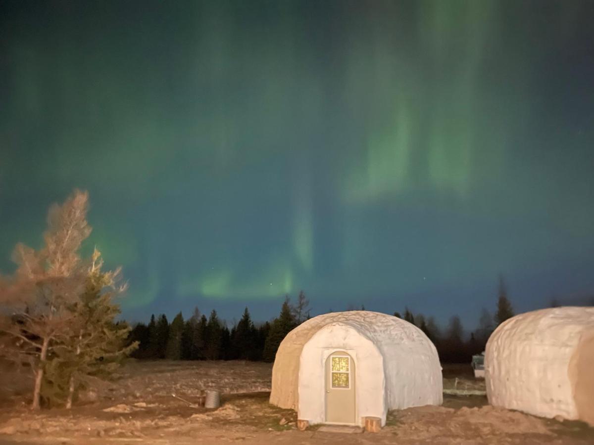 North Adventure Inn Cochrane Buitenkant foto