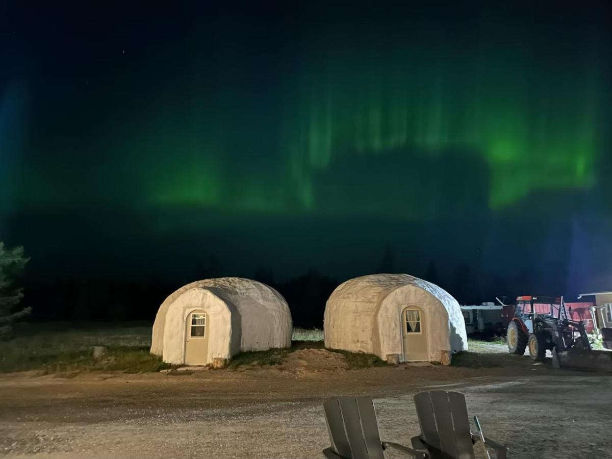 North Adventure Inn Cochrane Buitenkant foto